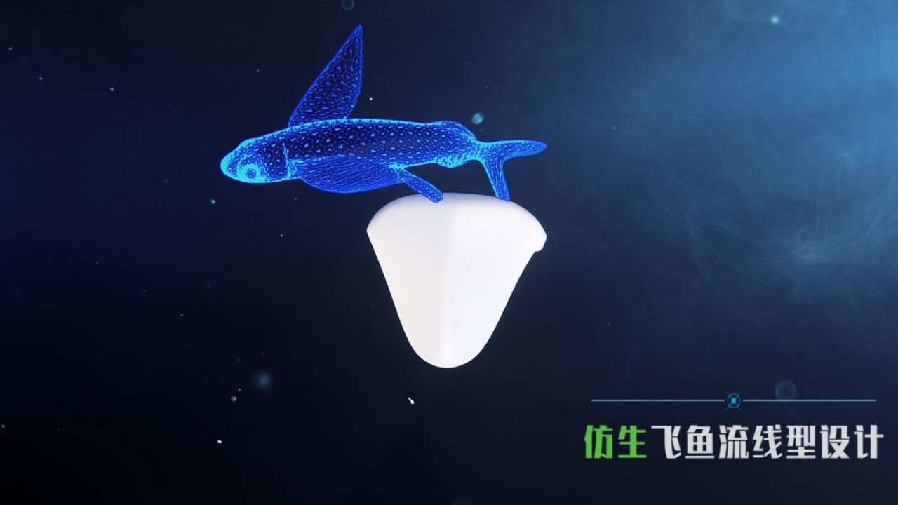 仿生飞鱼设计