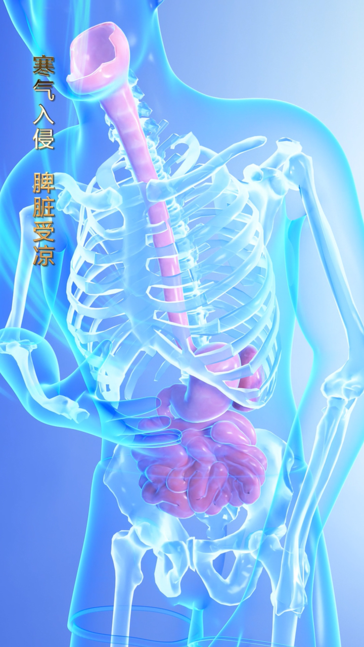 脾胃受凉